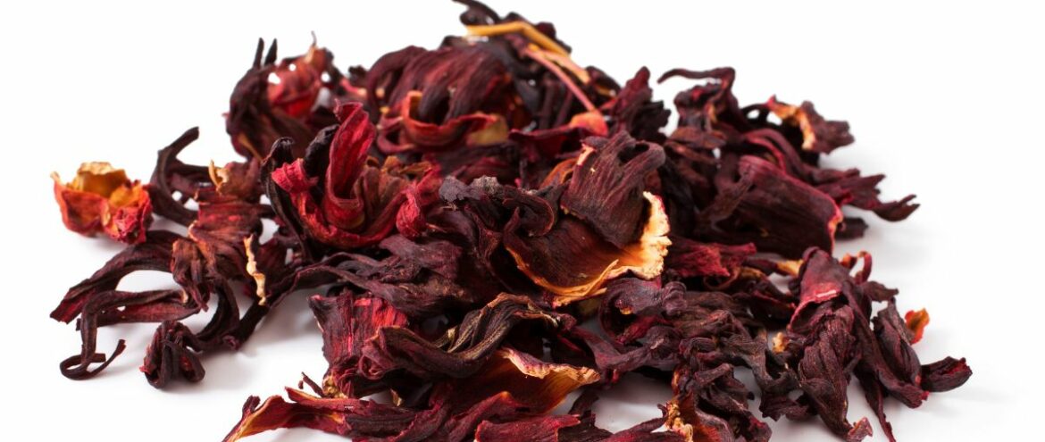 Hibiscus Benefits for Hair Growth