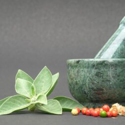 Ayurveda