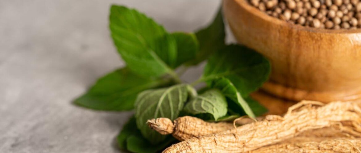Korean Red Ginseng