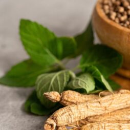 Korean Red Ginseng